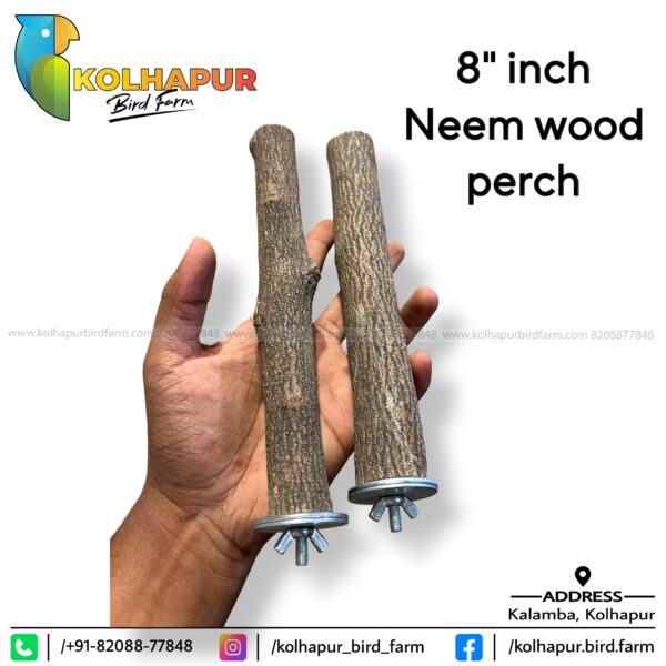 8" inch NATURAL WOOD PERCH