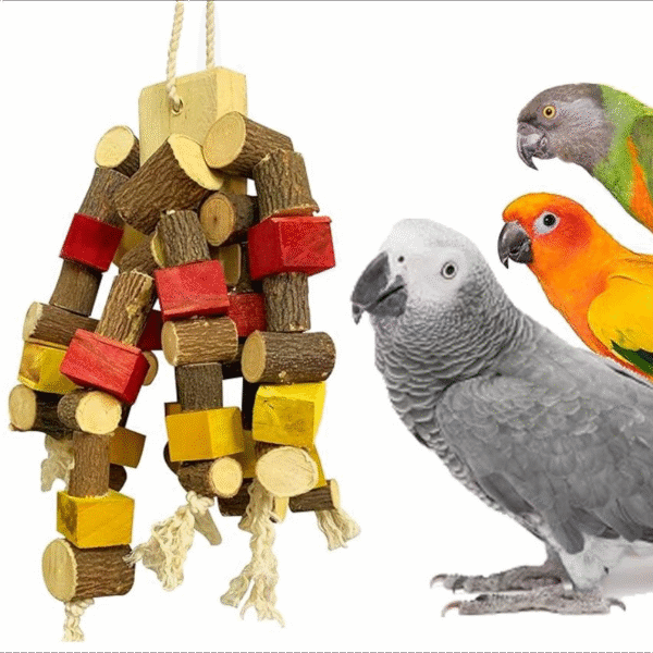 Zumer For Medium to Large Bird