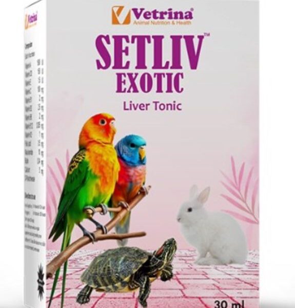 SETLIV EXOTIC liver tonic supplement