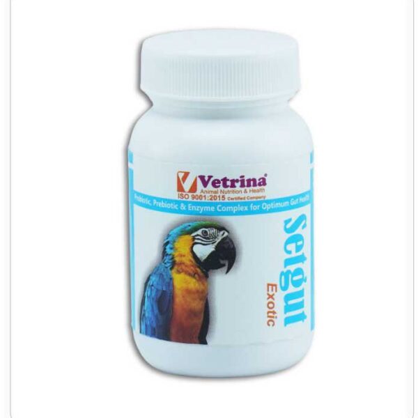 SETGUT EXOTIC gut health optimizer