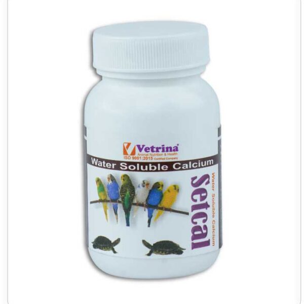 SETCAL EXOTIC Calcium Powder Supplement for Birds (125g)