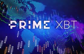 Understanding the Dynamics PrimeXBT Spot Market Explained